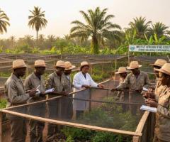 Formation en élevage d'escargots
