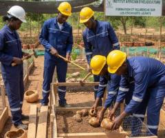 Formation en élevage d'escargots