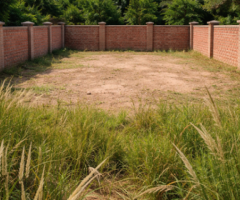 Parcelle inutilisée